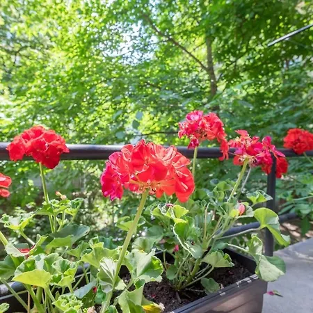 Luxury Near Ndk And Viotosha Blvd Appartamento Sofia